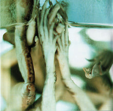 Load image into Gallery viewer, Pain (3) : Rebirth (CD, Album, Enh, RP)