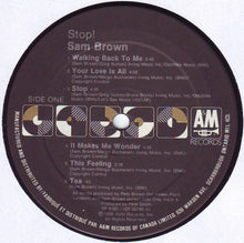 Load image into Gallery viewer, Sam Brown : Stop! (LP, Album)