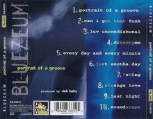 Load image into Gallery viewer, Bluezeum : Portrait Of A Groove (CD, Album)