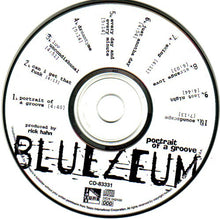 Load image into Gallery viewer, Bluezeum : Portrait Of A Groove (CD, Album)