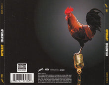 Load image into Gallery viewer, OutKast : Idlewild (CD, Album, Len)