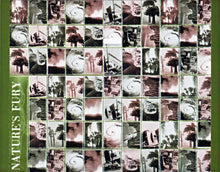 Load image into Gallery viewer, Naughty By Nature : Nineteen Naughty Nine (Nature's Fury) (CD, Album)