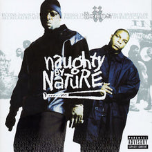 Load image into Gallery viewer, Naughty By Nature : Iicons (CD, Album)