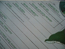 Load image into Gallery viewer, Chilly : Secret Lies (LP, Album)