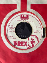 Load image into Gallery viewer, T. Rex : The Groover (7")