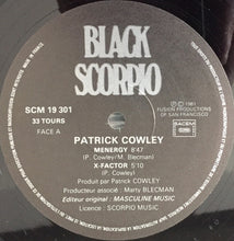 Load image into Gallery viewer, Patrick Cowley : Menergy (LP, Album)