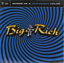 Load image into Gallery viewer, Big & Rich : Horse Of A Different Color (CD, Album)