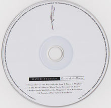 Load image into Gallery viewer, David Sylvian : Secrets Of The Beehive (CD, Album, RE, RM, Dig)