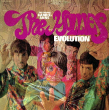 Load image into Gallery viewer, The Hollies : Evolution (LP, Album, Pit)