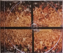 Load image into Gallery viewer, Cowboy Mouth : Are You With Me? (CD, Album)