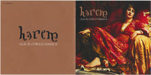 Load image into Gallery viewer, Harem (4) : Club & Chillout Classics (CD, Album)