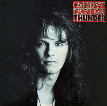 Load image into Gallery viewer, Andy Taylor : Thunder (LP, Album)