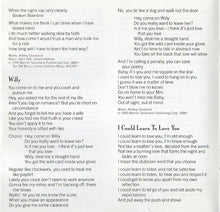 Load image into Gallery viewer, Ashley Cleveland : Big Town (CD, Album)