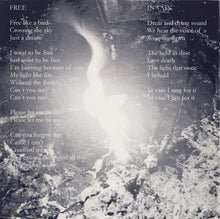 Load image into Gallery viewer, Ashes You Leave : Fire (CD, Album)