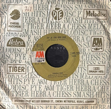 Load image into Gallery viewer, Terrible Tom : Sweet Mary / Zip-A-Dee Doo Dah (7")