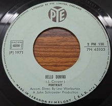 Load image into Gallery viewer, Portrait (3) : Hey Ruth / Hello Domino (7")