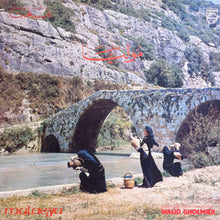 Load image into Gallery viewer, وليد غلمية = وليد غلمية : موليا = Mulaeya (LP, Album)