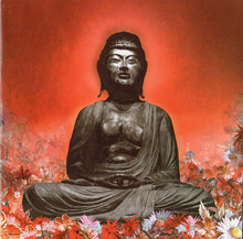 Load image into Gallery viewer, Sam Popat : Buddha-Bar VIII (2xCD, Comp, Mixed, Cla)