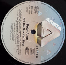 Load image into Gallery viewer, Peter Allen : Not The Boy Next Door (LP, Album)