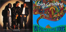 Load image into Gallery viewer, Big Country : No Place Like Home (CD, Album)