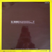 Load image into Gallery viewer, Dolores Hall* : Snapshot (12")