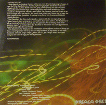 Load image into Gallery viewer, Skeletal Family : Ghosts (LP, Comp)