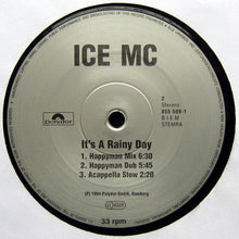 Load image into Gallery viewer, ICE MC : It's A Rainy Day (12")
