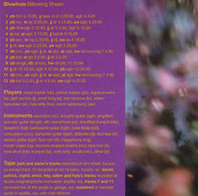 Load image into Gallery viewer, Blowhole : Billowing Sheen (CD, Album)