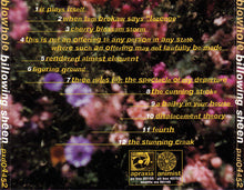 Load image into Gallery viewer, Blowhole : Billowing Sheen (CD, Album)
