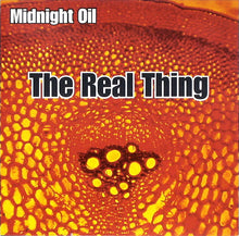 Load image into Gallery viewer, Midnight Oil : The Real Thing (CD, Album)
