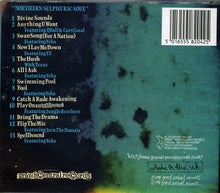 Load image into Gallery viewer, Rae & Christian : Northern Sulphuric Soul (CD, Album)