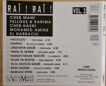 Load image into Gallery viewer, Various : Raï ! Raï ! Vol. 2 (CD)