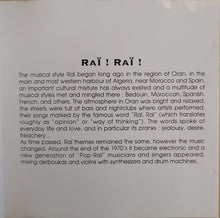 Load image into Gallery viewer, Various : Raï ! Raï ! Vol. 2 (CD)