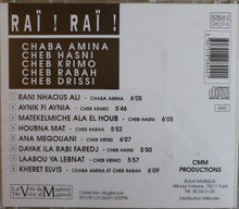 Load image into Gallery viewer, Various : Raï ! Raï ! (CD, Comp)