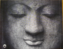Load image into Gallery viewer, The Buddha Lounge Ensemble : Buddha Lounge Renditions Of Coldplay (CD, Comp, Unofficial)