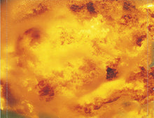 Load image into Gallery viewer, Robbie Williams : Millennium (CD, Single, Ltd, CD1)