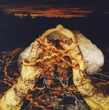 Load image into Gallery viewer, µ-Ziq : Duntisbourne Abbots Soulmate Devastation Technique (CD, Album)