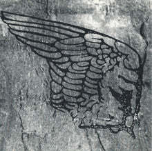Load image into Gallery viewer, Patrick O'Hearn : Indigo (CD, Album)