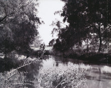 Load image into Gallery viewer, George Strait : Somewhere Down In Texas (CD, Album)