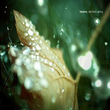 Load image into Gallery viewer, Various : Bésame_Electronic Spring (CD, Comp)