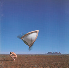 Load image into Gallery viewer, The Cranberries : Bury The Hatchet (CD, Album)