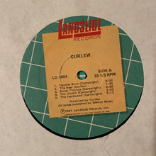 Load image into Gallery viewer, Curlew : Curlew (LP, Album)