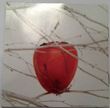 Load image into Gallery viewer, Savage Garden : Savage Garden (CD, Album, RP)