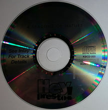 Load image into Gallery viewer, Atmospheric Moods : 4 Seasons Of Nature (The Changing Colour Of Sound) (CD)