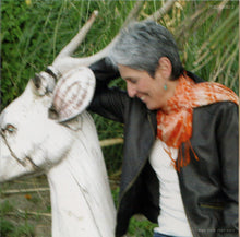 Load image into Gallery viewer, Joan Baez : Day After Tomorrow (CD, Album)