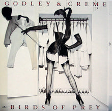 Load image into Gallery viewer, Godley & Creme : Birds Of Prey (LP, Album)