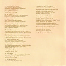 Load image into Gallery viewer, Ben Christophers : Spoonface (CD, Album)