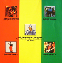 Load image into Gallery viewer, Various : Ragga Heat Reggae Beat (CD, Comp)