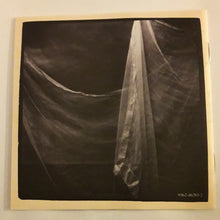 Load image into Gallery viewer, Tish Hinojosa : Dreaming From The Labyrinth / Soñar Del Laberinto (CD, Album)