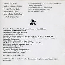 Load image into Gallery viewer, Jeremy Steig : Jigsaw (CD, Album)